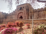 Jhansi