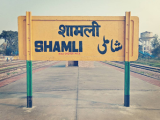 Shamli