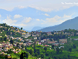 Almora