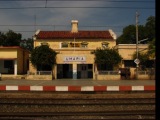 Umaria