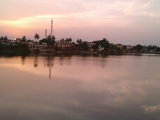 Araria