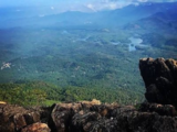 Koyilandy