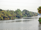 Pandalam