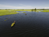 Majuli