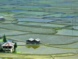 Ziro