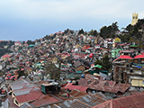 Shimla