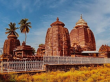 Ongole